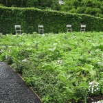 garden of escher, chaumont-sur-loire, france, 2009