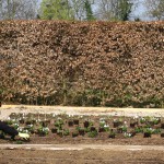 garden of escher, chaumont-sur-loire, france, 2009