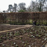 garden of escher, chaumont-sur-loire, france, 2009