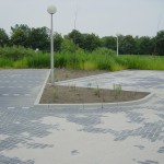 Tuin Aspa Eindhoven 29-10-2002